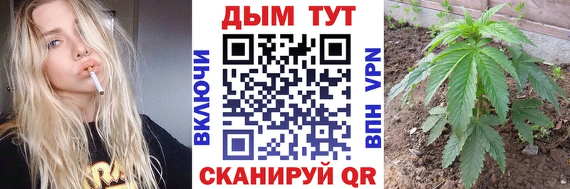 закладка  Сенгилей  Марихуана Amnesia 